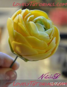 a person holding a yellow flower in their hand