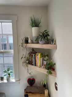 two shelves with plants and books on them next to a window in a living room