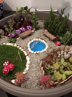 a potted planter filled with lots of plants and rocks on top of a table