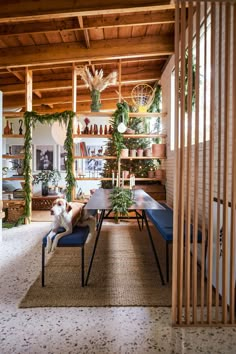 a dog is sitting on a bench in the middle of a room with shelves and plants