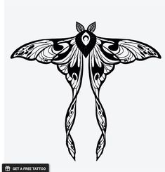 a black and white drawing of a butterfly with wings spread out to the side, on a