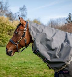 a brown horse wearing a cover on it's head