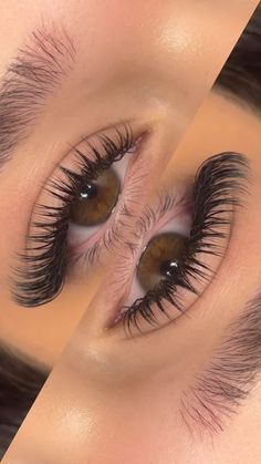 Mascara Lash Extensions Look, Last Extensions Styles, Wet And Wispy Lashes, D Curl Cat Eye Lash Extensions, Wet Sets Lash Extensions, Asian Lashes Extensions, Brown Wet Set Lashes, Wet Hybrid Lash Extensions, Wet Volume Lash Extensions