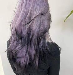 Grayish Purple Hair, Black To Lavender Hair, Dull Purple Hair, Violet Toned Hair, Purple Hair Highlights Aesthetic, Purple Halo Hair, Korean Hair Color Purple, Purple Hair Dye Aesthetic, Light Purple Hair