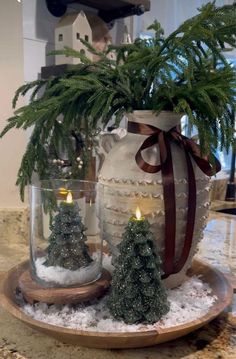 two christmas trees in glass jars on a tray