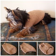 a small dog wearing a sweater on top of a wooden table with four pictures of it