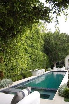 an outdoor swimming pool surrounded by greenery and white couches in front of it