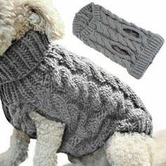 the dog is wearing a sweater and hat