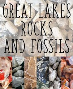 there are many different rocks and fossiles in this photo with the words great lakes, rocks and fosss