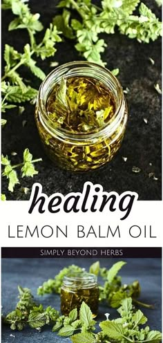 lemon balm oil in a glass jar next to fresh leaves and herbs on a black surface