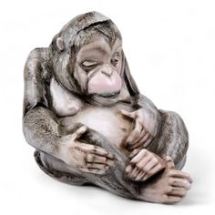 a statue of a monkey sitting on its back