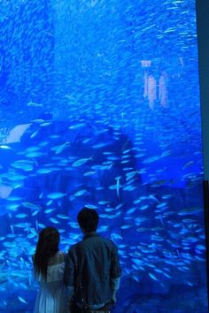 two people standing in front of a large aquarium