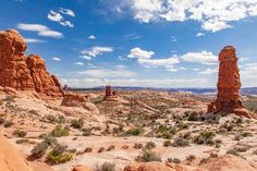 some rocks and plants in the desert under a blue sky with white clouds above them