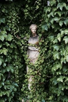 a statue is surrounded by ivy and vines