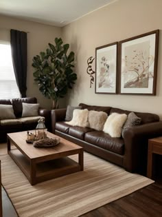 a living room with two couches and a coffee table