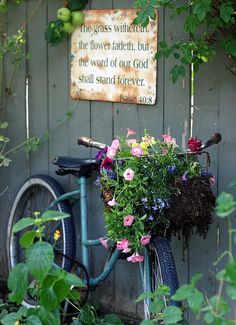 a bicycle with flowers in the basket parked next to a sign that says, the grass will not die