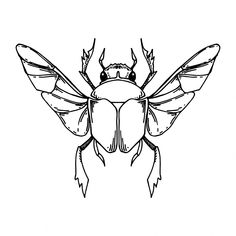 a black and white drawing of a bug