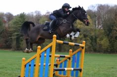 a person jumping a horse over an obstacle