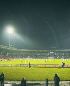 a stadium filled with lots of people standing on top of a lush green soccer field