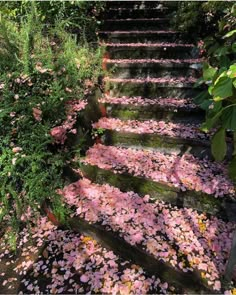 the steps are covered with pink flowers and greenery