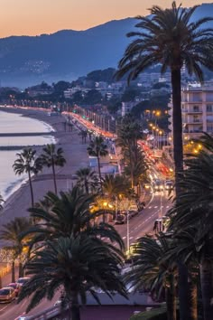 palm trees line the beach in front of buildings and mountains at dusk with lights on