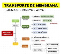 a diagram that shows the different types of transport in spanish and english, as well as some