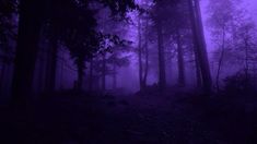 a dark purple forest with fog and trees