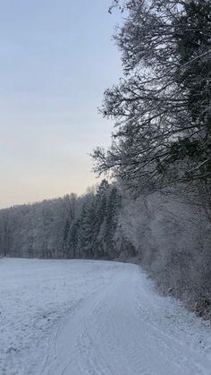 a snow covered road in the middle of a wooded area with trees on both sides