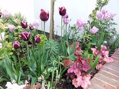 the flowers are blooming in the garden next to the wall and brick walkways