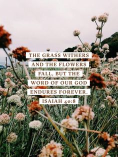 the grass withers and the flowers fall, but the word of our god includes forever