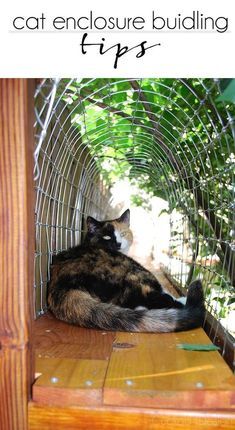 a cat laying on top of a wooden bench under a tree next to a fence