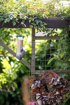 a bird feeder hanging from the side of a wooden structure surrounded by leaves and flowers