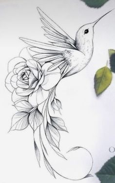 a drawing of a hummingbird flying over a flower