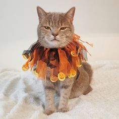 a cat sitting on top of a white blanket wearing a halloween decoration around its neck