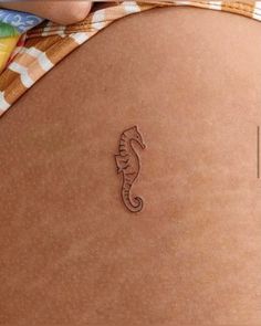 a close up of a person's stomach with a sea horse tattoo on it