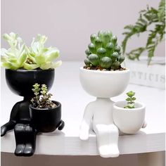 three small plants in black and white pots sitting on a table next to each other