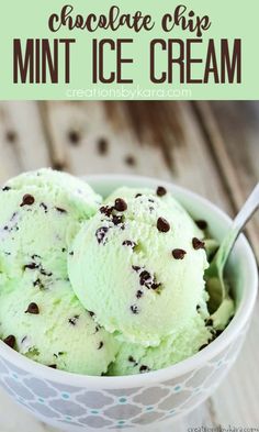 chocolate chip mint ice cream in a white bowl on a wooden table with text overlay