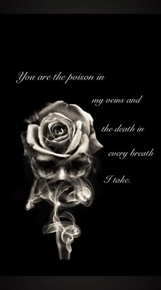 Skull And Quote Tattoo, Rose And Skull Wallpaper, Skull And Rose Wallpaper Iphone, Skull Art With Quotes, Funny Situations, Skull Rose Tattoos, Skull Quote, Blue Rose Tattoos