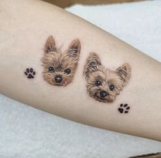 three small dogs on the arm with paw prints