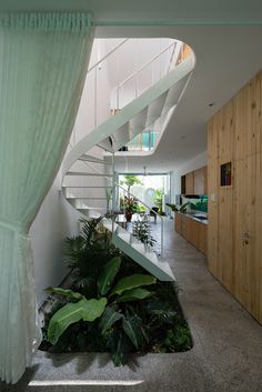 the inside of a house with plants on the ground and stairs leading up to the second floor