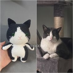 two pictures one with a black and white cat and the other has a crocheted kitty