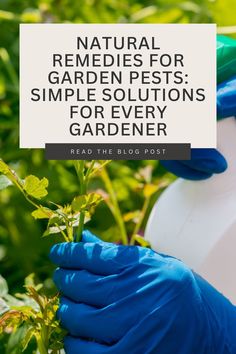 Natural Remedies for Garden Pests: Simple Solutions for Every Gardener