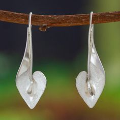 The graceful figure of the calla lilies inspires a sophisticated design crafted by Edna Manzano from Mexico. Combining textured and matte finishes, the artisan creates these sterling silver drop earrings with a unique design that enhances their luminous appearance, also associated with magnificent beauty. Calla Lilies, Sterling Silver Drop Earrings, Sophisticated Design, Silver Drop Earrings, Calla Lily, Design Crafts, Unique Design, Premium Quality, Lily