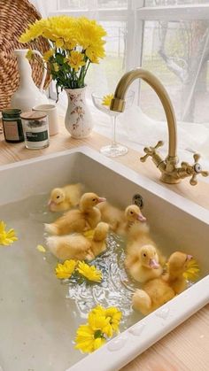 several little ducks in a sink with yellow flowers