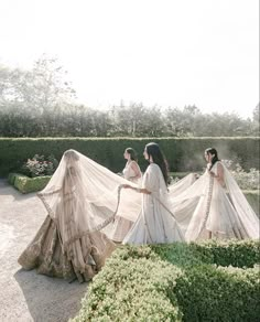 three women in white gowns are walking through the garden with veils over their heads