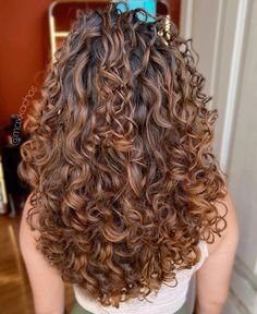 Caramel And Cinnamon Highlights, Curly Balayage Hair Dark Brown, 2c Curly Hair Color Ideas, Orange Highlights Curly Hair, Curly Hair With Dark Highlights, Red Undertone Highlights, Brown Curly Hair Boliage, Highlights 2c Hair, Curls With Highlights Brunettes