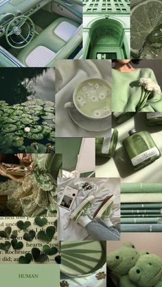 a collage of green and white items in various pictures, including a teddy bear