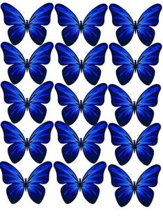 blue butterflies are arranged in the shape of a square, with one large and two small ones