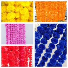 four different colors of flowers arranged in rows