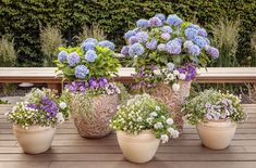 several potted plants are sitting on a wooden table in front of some bushes and shrubs